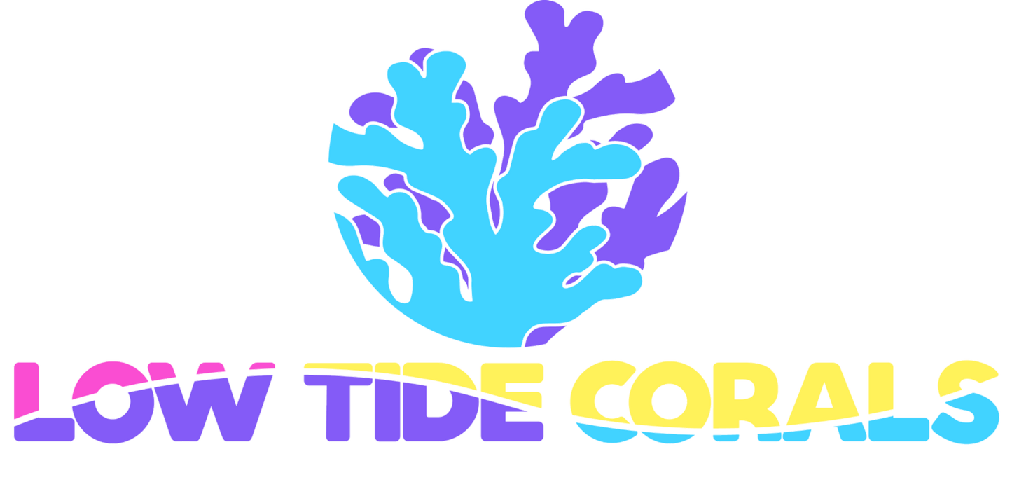 Low Tide Corals Gift Card